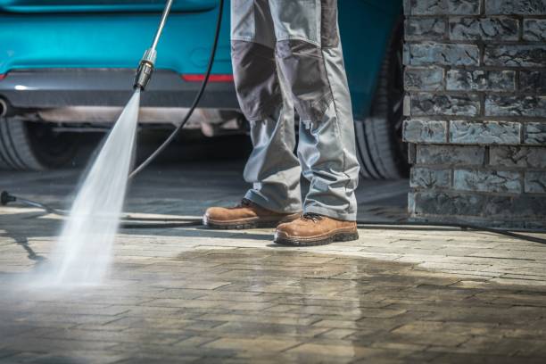 Best Soft Washing  in Pleasantville, IA